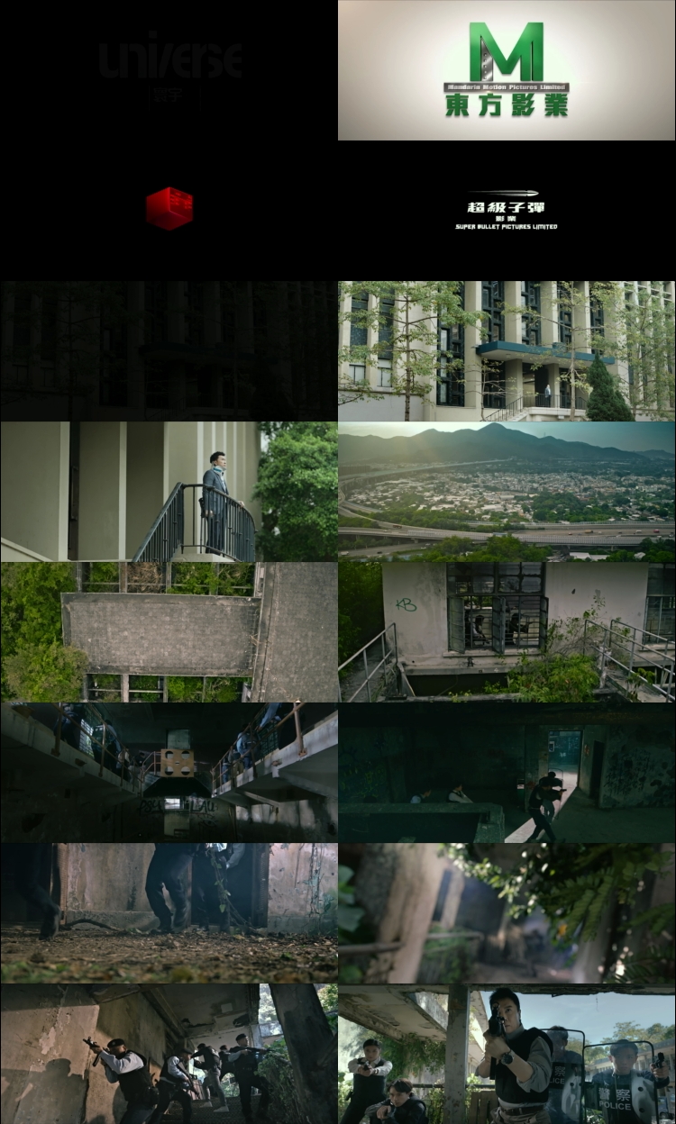 The Prosecutor (2024) 1080p | 720p | 480p BluRay  [Hindi (हिन्दी) English] DD2.0 ESubs Screenshots