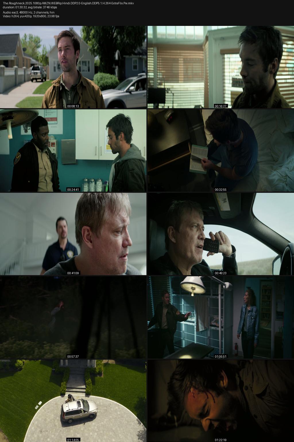 The Roughneck (2025) [Hindi-English] 4K 2160p 1080p 720p 480p Amazon WEBRip ESubs Screenshots