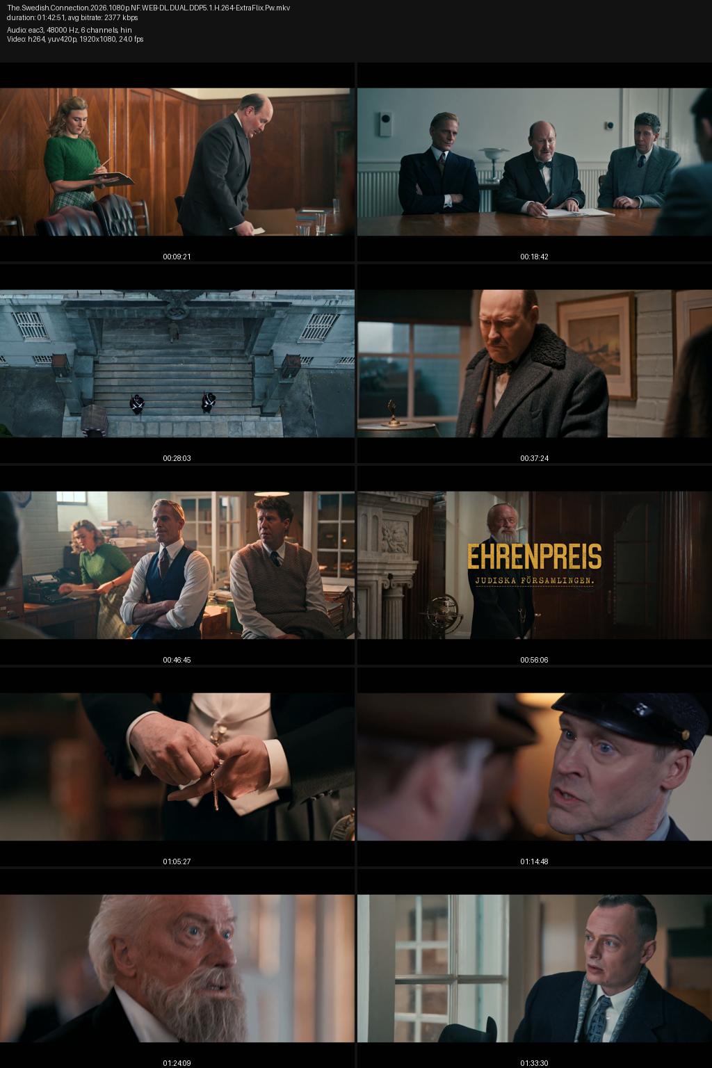 The Swedish Connection aka Den svenska lanken (2026) [Hindi-Swedish] 1080p 720p 480p Netflix WEB-DL ESubs Screenshots