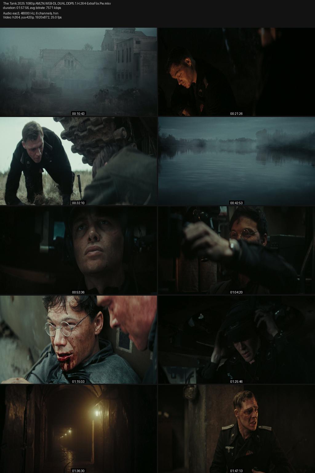 The Tank aka De Tiger aka The Tiger (2025) [Hindi-German] 4K 2160p 1080p 720p 480p Amazon WEB-DL ESubs Screenshots