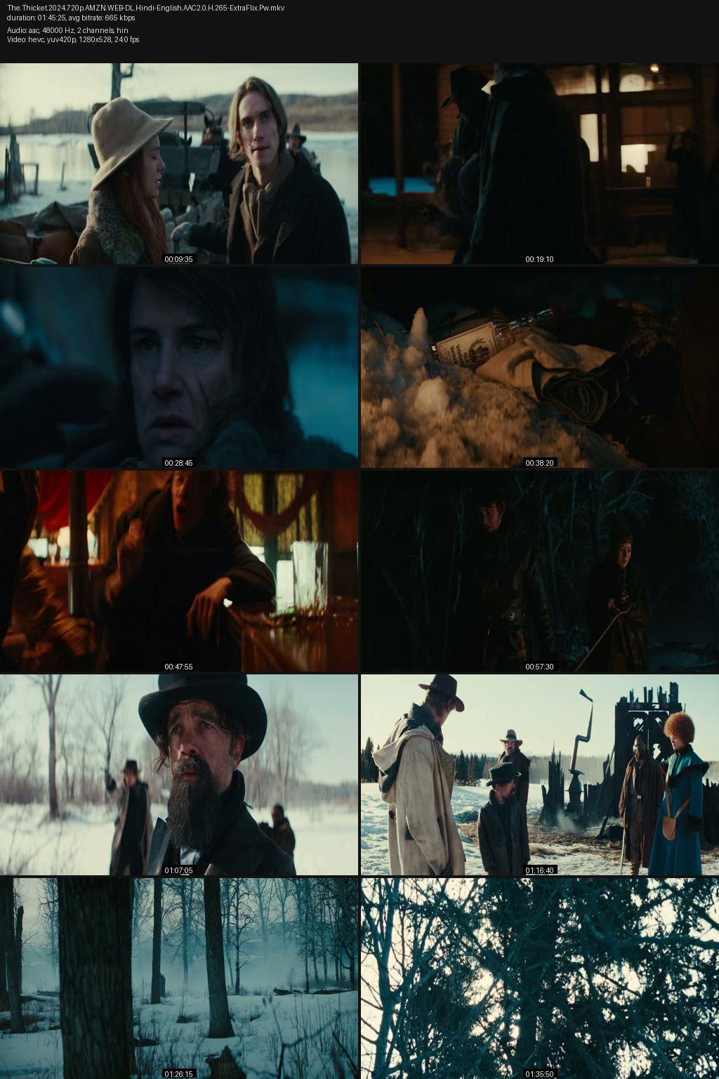 The Thicket (2024) [Hindi-English] 1080p 720p 480p Amazon WEB-DL ESub Screenshots