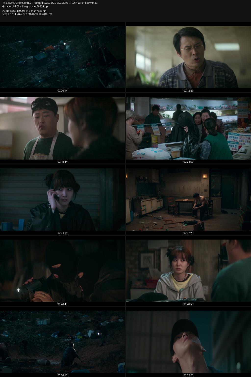 The Wonderfools Season 1 (2026) [Hindi-Korean] 1080p 720p 480p Netflix WEB-DL ESubs Screenshots