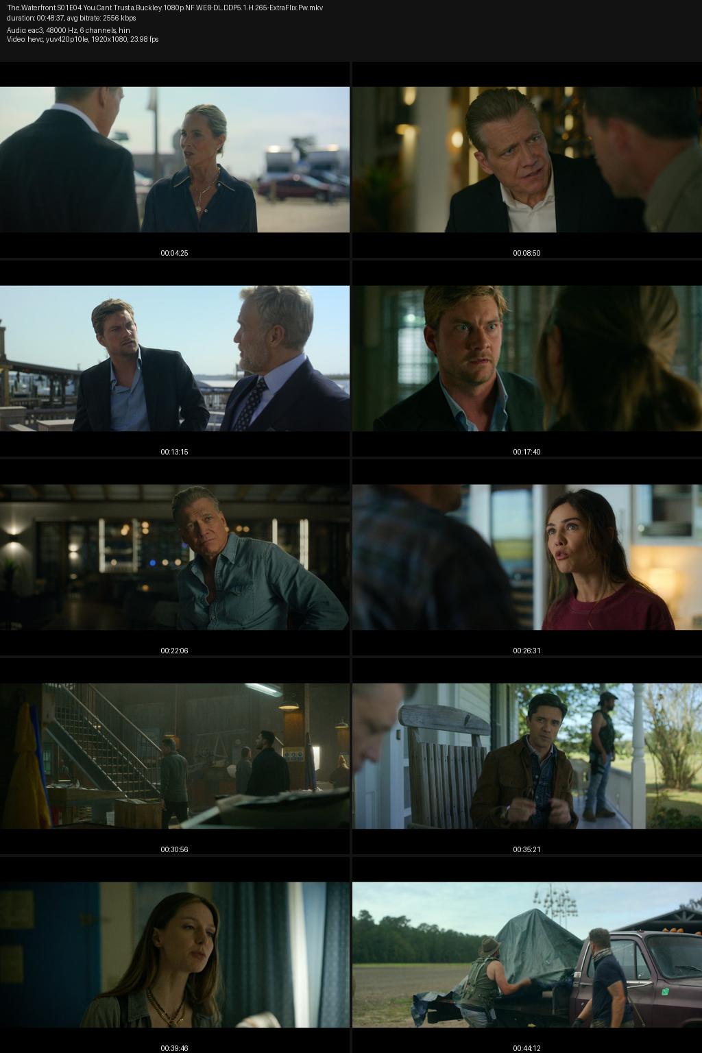 The Waterfront Season 1 (2025) 1080p | 720p | 480p Netflix WEB-DL [Hindi-English] ESubs Screenshots