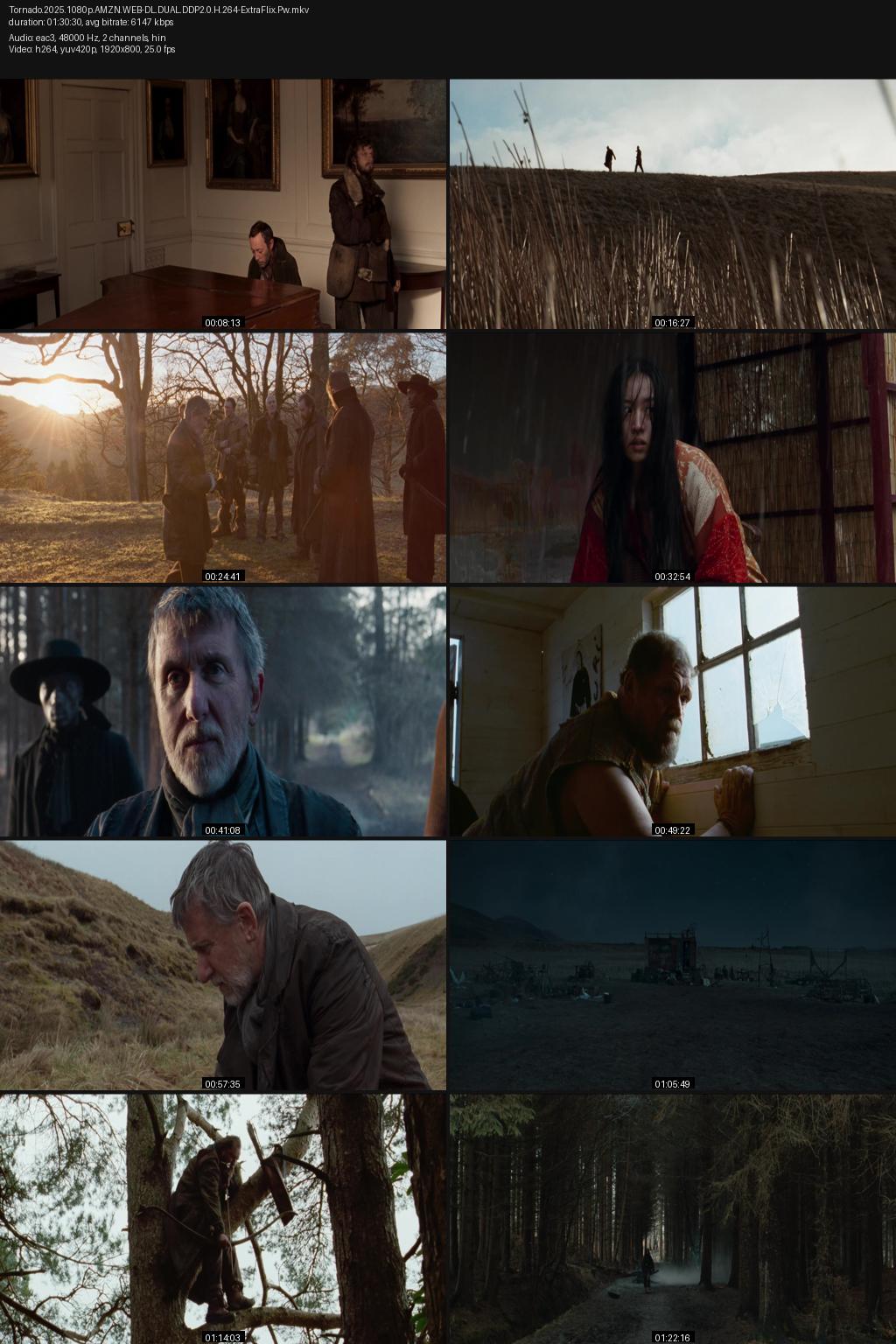 Tornado (2025) [Hindi-English] 1080p 720p 480p Amazon WEB-DL ESub Screenshots