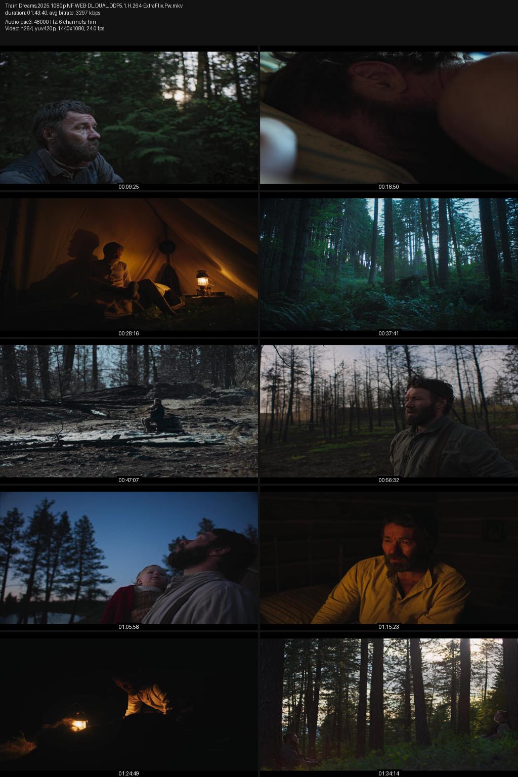 Train Dreams (2025) [Hindi-English] 1080p 720p 480p Netflix WEB-DL ESubs Screenshots