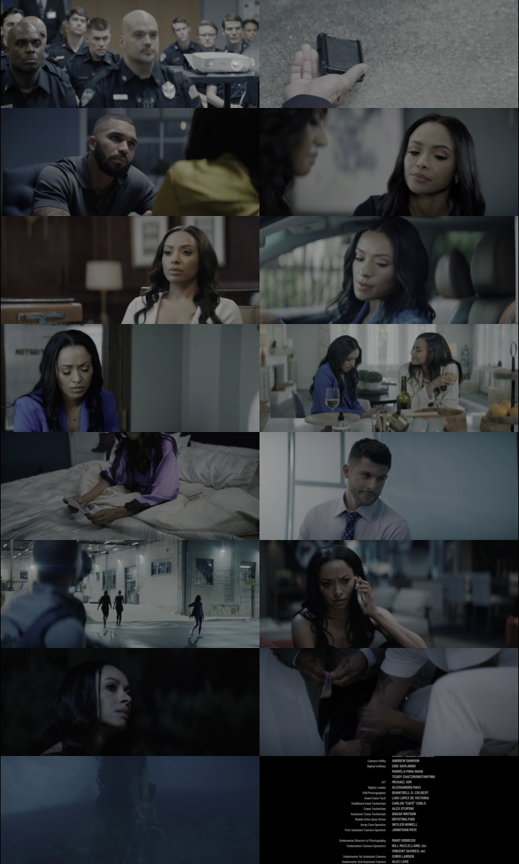Tyler Perry’s Duplicity (2025) 1080p | 720p | 480p WEB-HDRip [Hindi (हिन्दी) + English] DD5.1 ESub Screenshots