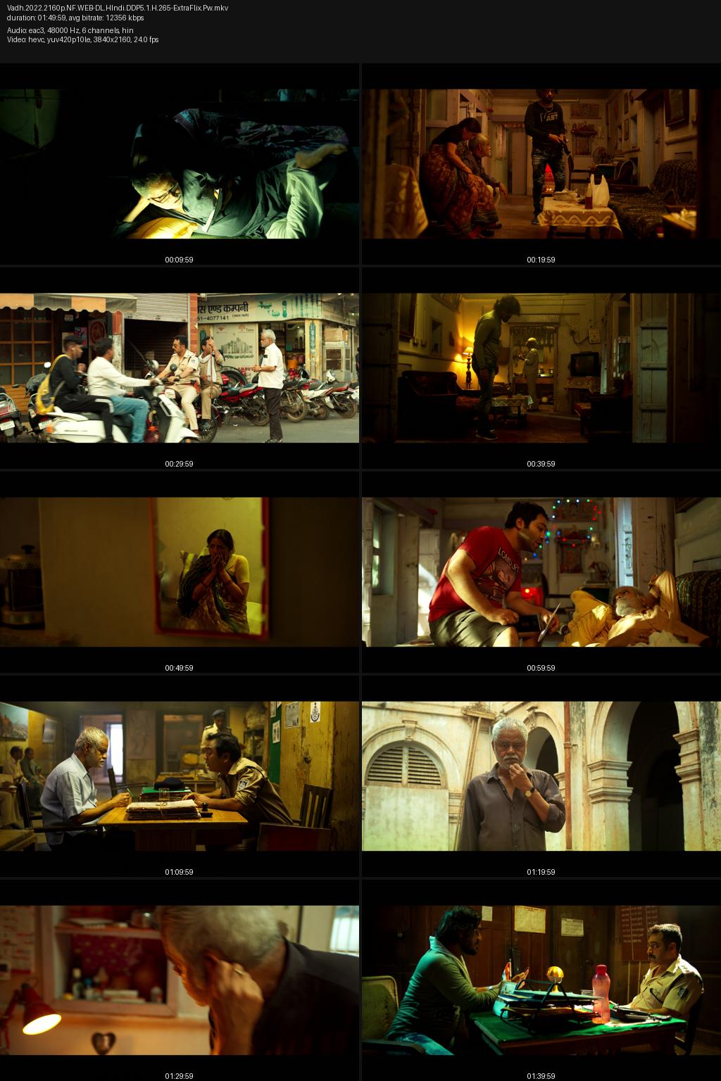 Vadh (2022) [Hindi] 4K 2160p 1080p 720p 480p Amazon WEB-DL ESub Screenshots