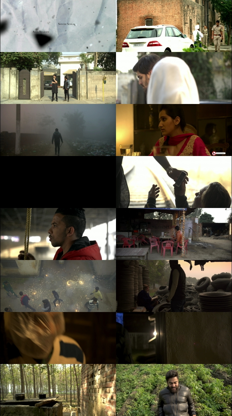 Vair (2025) 1080p | 720p | 480p WEB-HDRip [Punjabi (ਪੰਜਾਬੀ)] DD5.1 ESub Screenshots