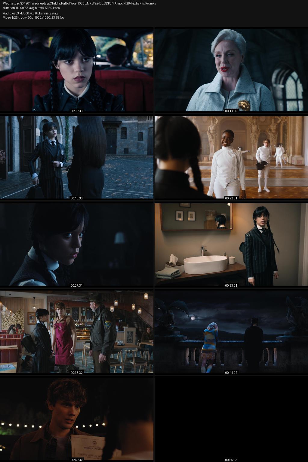Wednesday Season 1 (2022) [Hindi-English] 1080p 720p 480p Netflix WEB-DL ESubs Screenshots