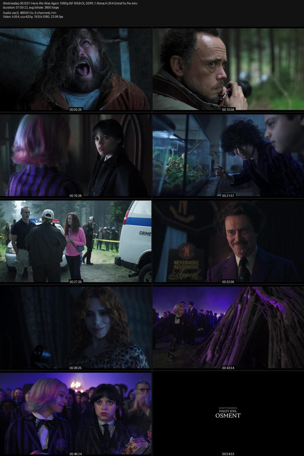 Wednesday Season 2 (2025) [Hindi-English] Complete 4K 2160p 1080p 720p 480p Netflix WEB-DL ESubs Screenshots