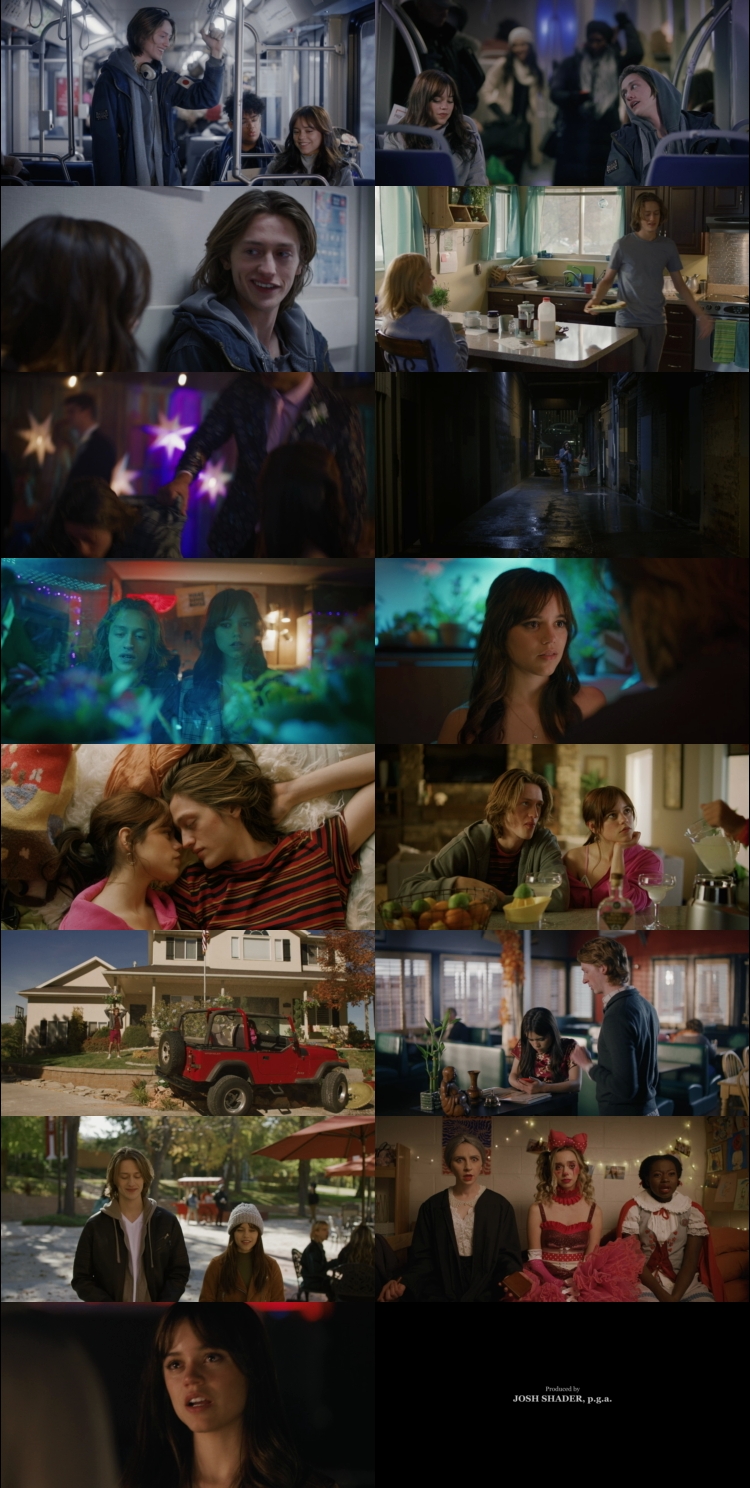Winter Spring Summer or Fall (2024) 1080p | 720p | 480p WEB-HDRip [Hindi (हिन्दी) English] DD5.1 ESubs Screenshots