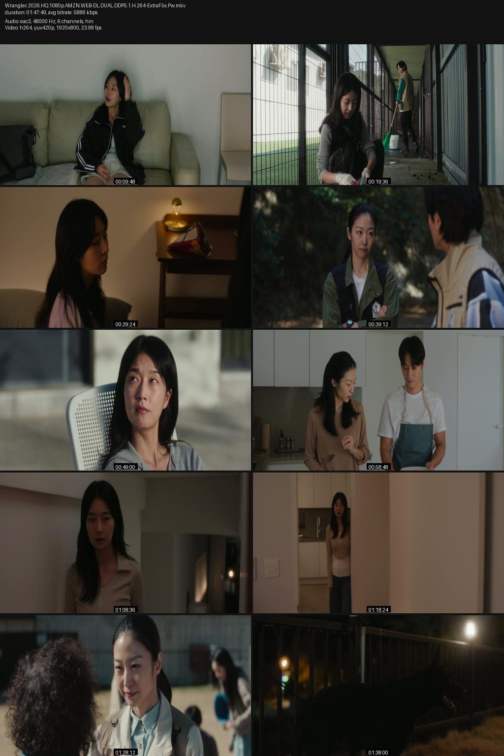 Wrangler (2026) [Hindi-Korean] 1080p 720p 480p Amazon WEB-DL ESub Screenshots