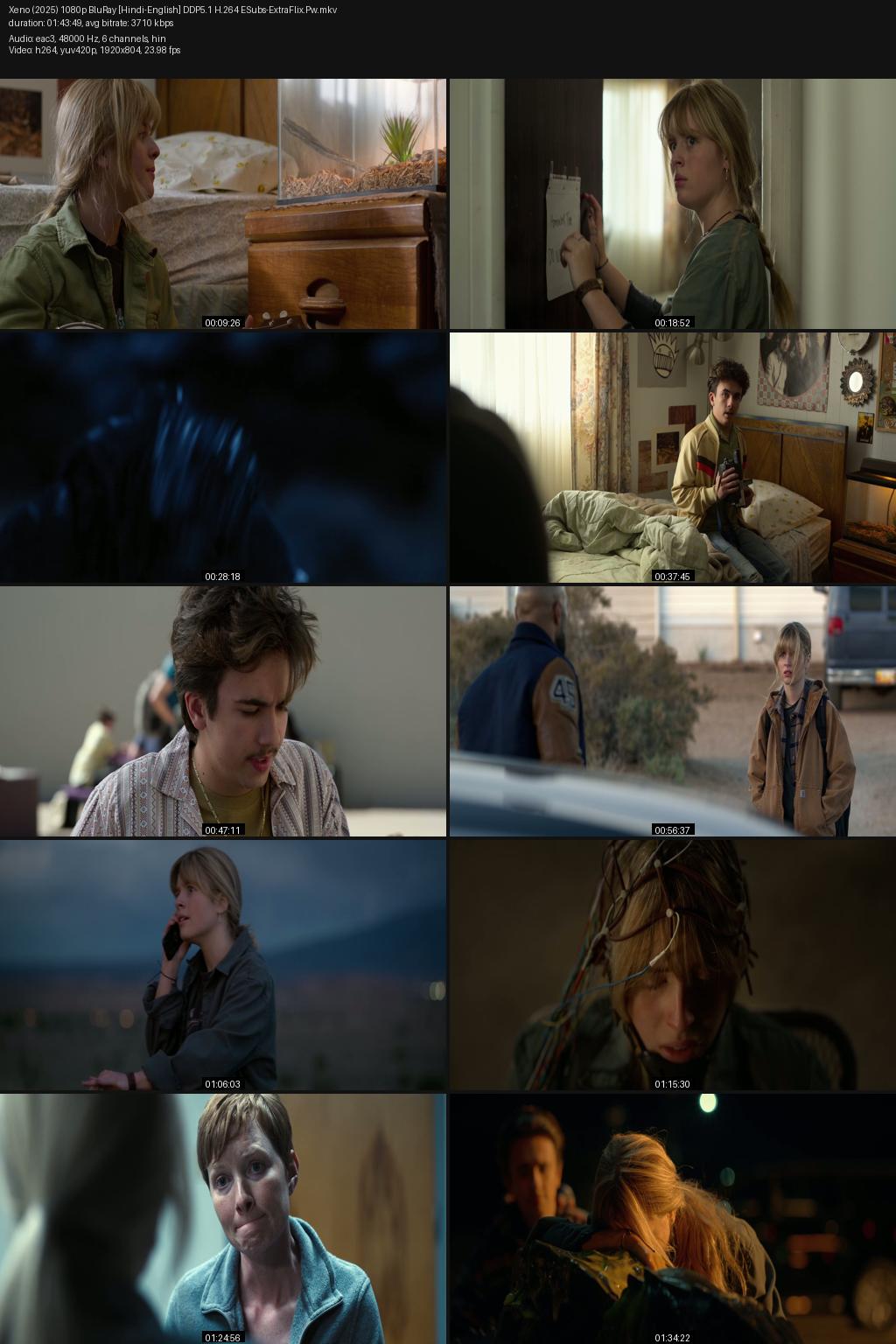 Xeno (2025) [Hindi-English] 1080p 720p 480p BluRay ESubs Screenshots