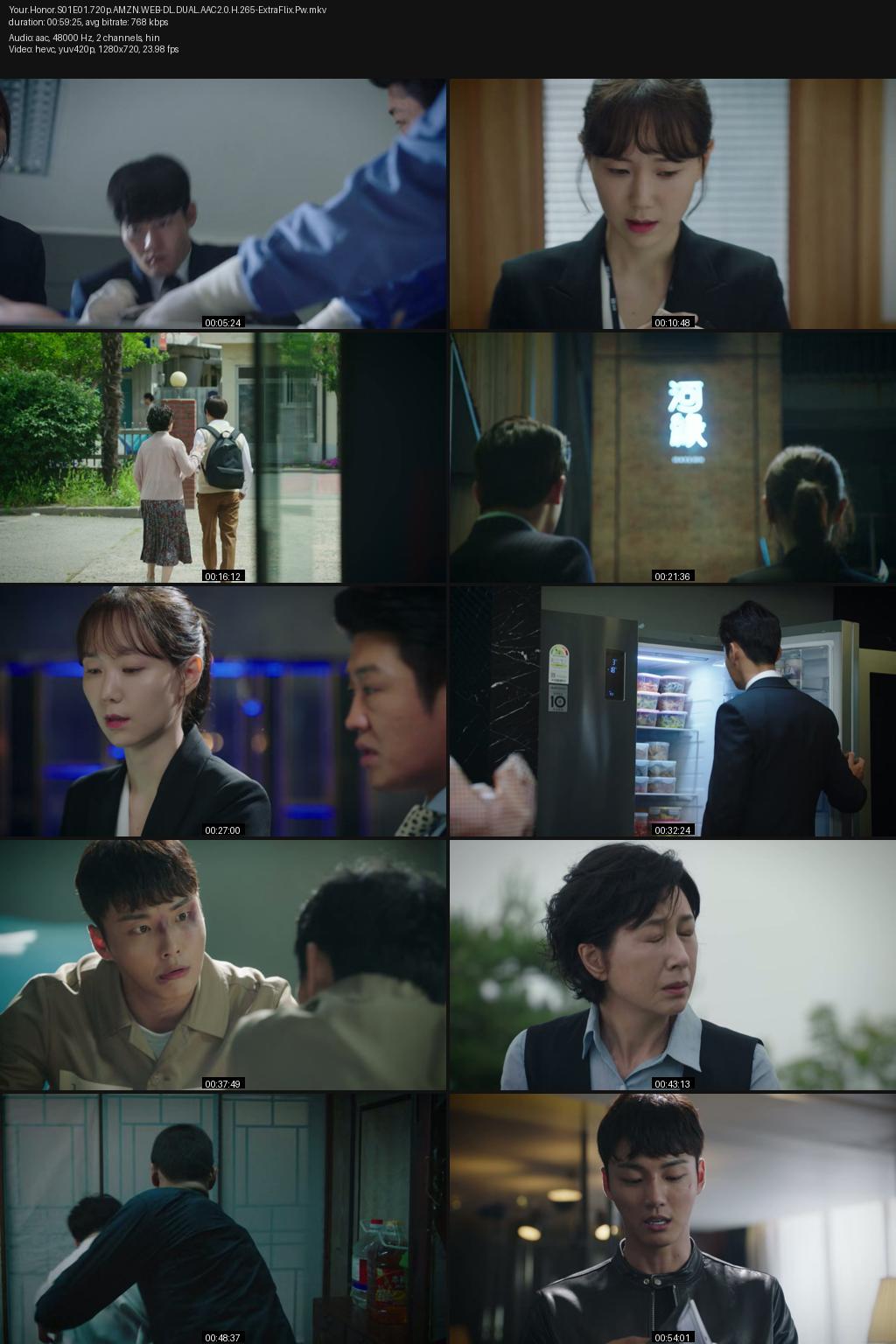 Your Honor Season 1 (2018) [Hindi-Korean] 1080p 720p 480p Amazon WEB-DL ESubs Screenshots
