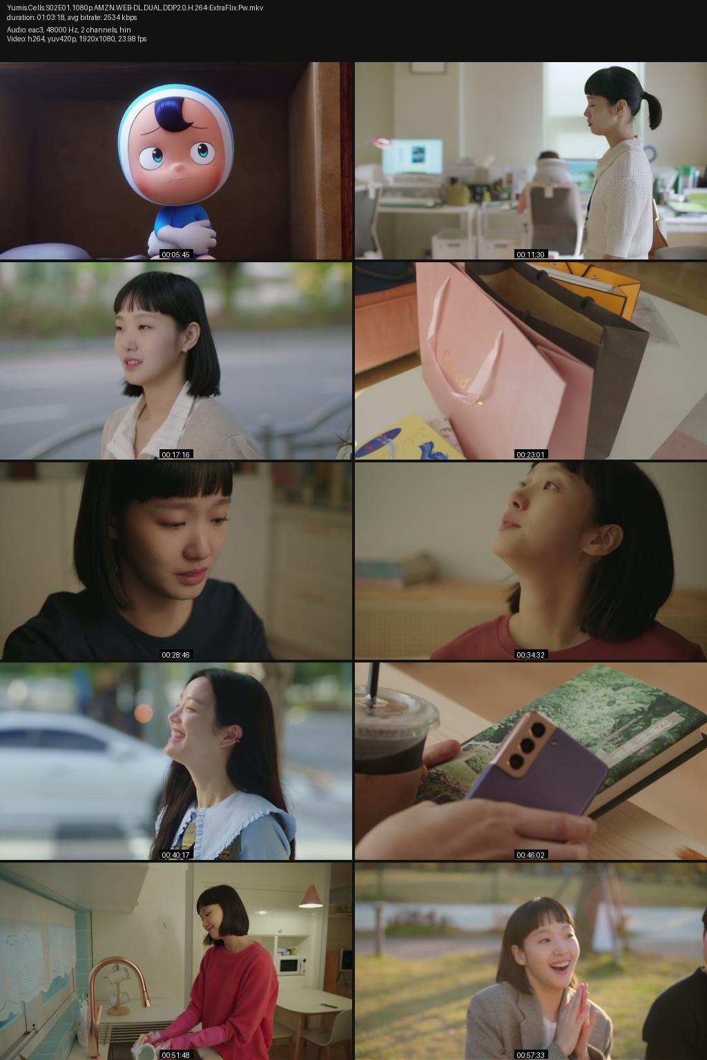 Yumi’s Cells 2 Season (2022) [Hindi-Korean] 1080p 720p 480p Amazon WEB-DL ESub Screenshots