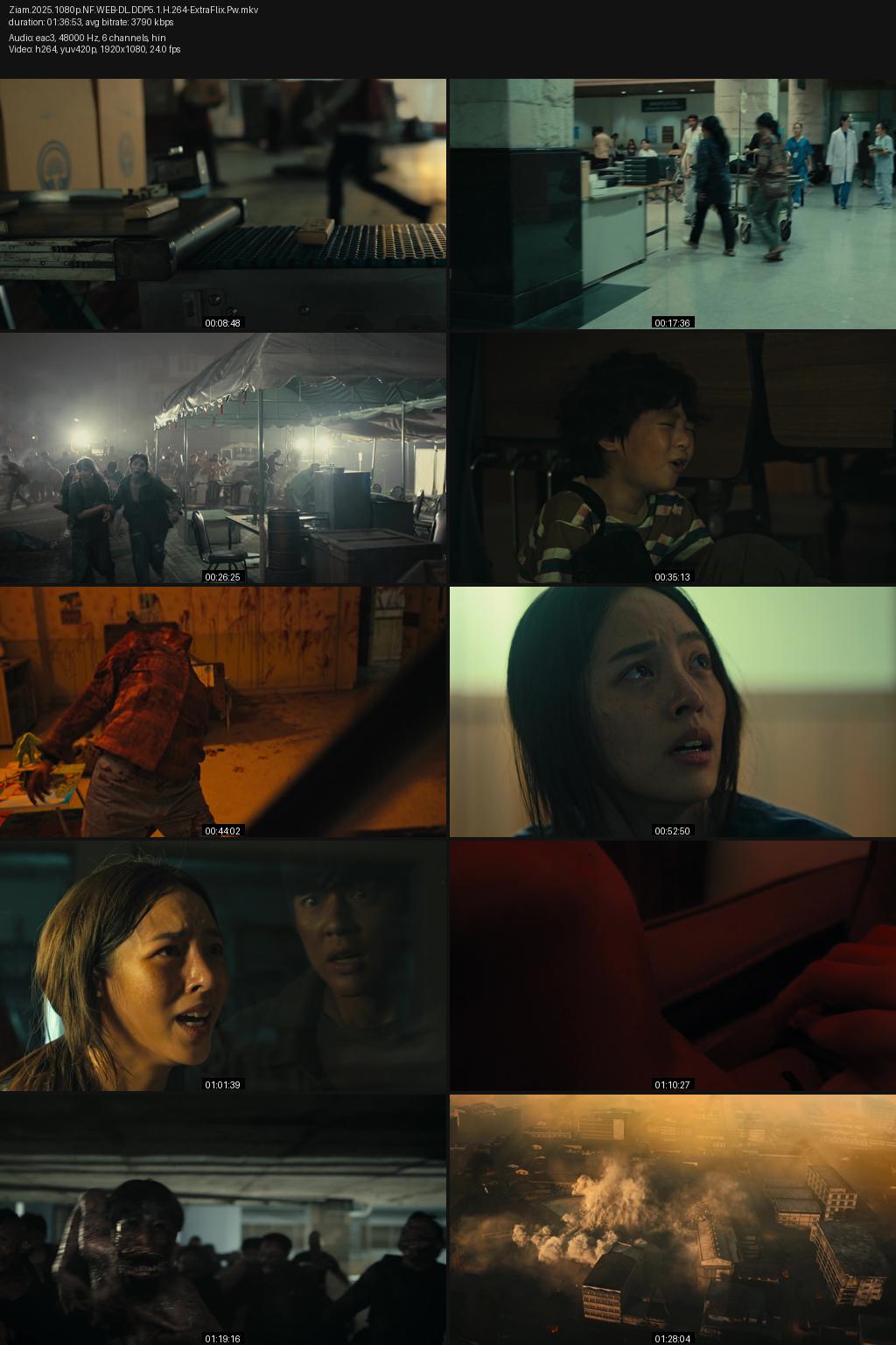Ziam (2025) 1080p | 720p | 480p Netflix WEB-DL [Hindi-Thai] ESubs Screenshots