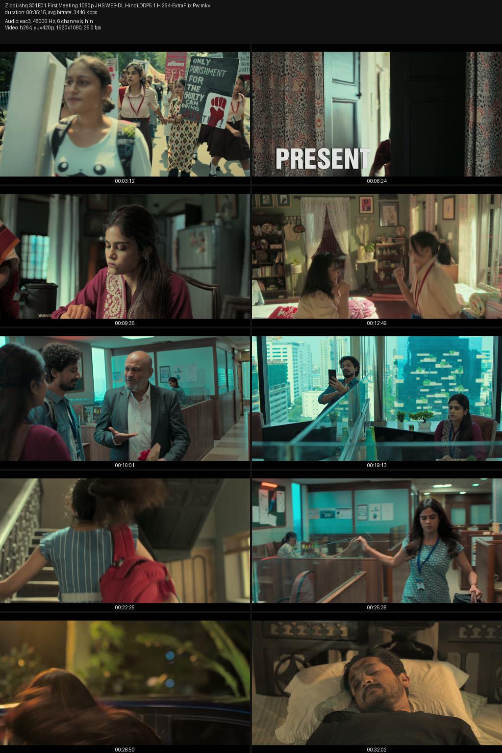 Ziddi Ishq Season 1 (2025) [Hindi] 1080p 720p 480p JioHotstar WEB-DL ESub Screenshots