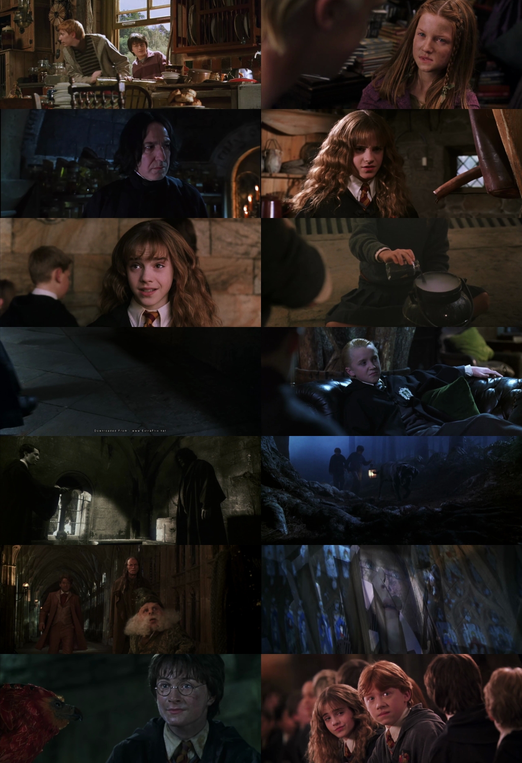 Harry Potter and the Chamber of Secrets (2002) 1080p | 720p | 480p BluRay [Hindi (हिन्दी) + English] DD5.1 HEVC ESub Screenshots