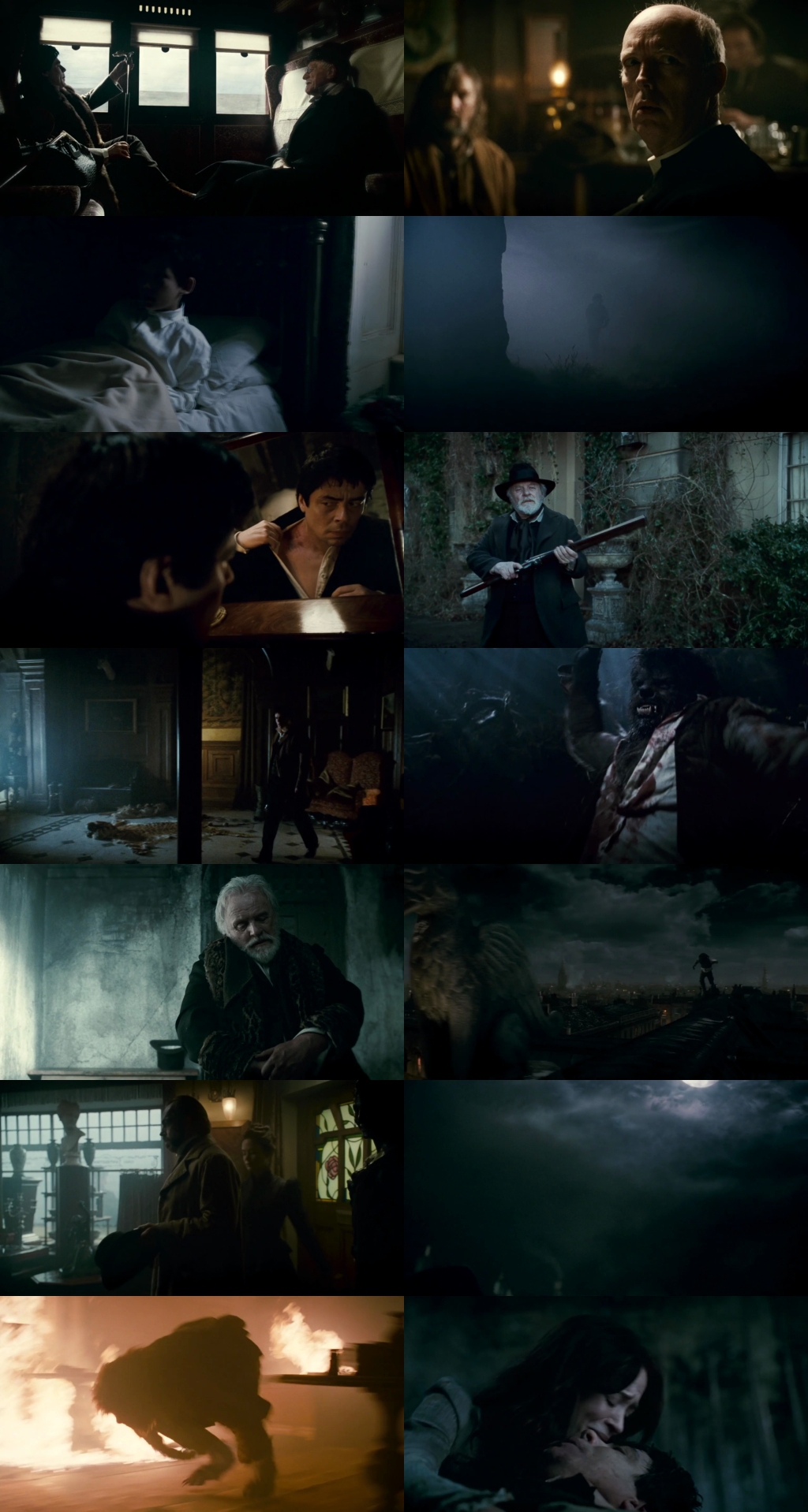 The Wolfman (2010) 1080p | 720p | 480p BluRay [Hindi (हिन्दी) + English] DD5.1 ESub Screenshots
