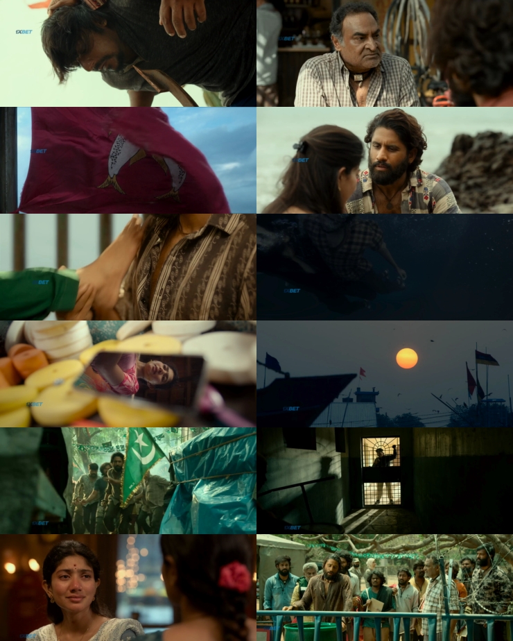 Thandel (2025) 1080p | 720p | 480p HDRip [Hindi (हिन्दी) + Telugu] DD5.1 ESub Screenshots