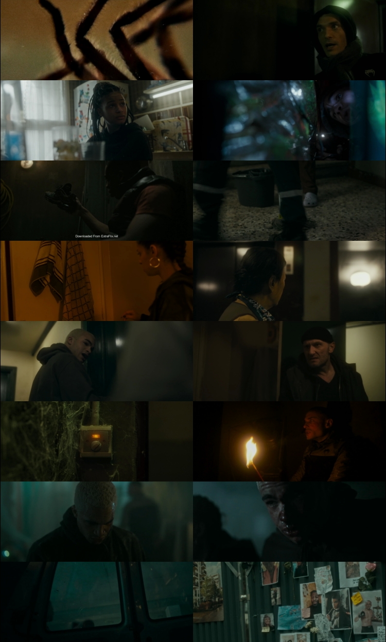 Spiders (2024) 1080p | 720p | 480p WEB-HDRip [Hindi (हिन्दी) + English] DD5.1 ESub Screenshots