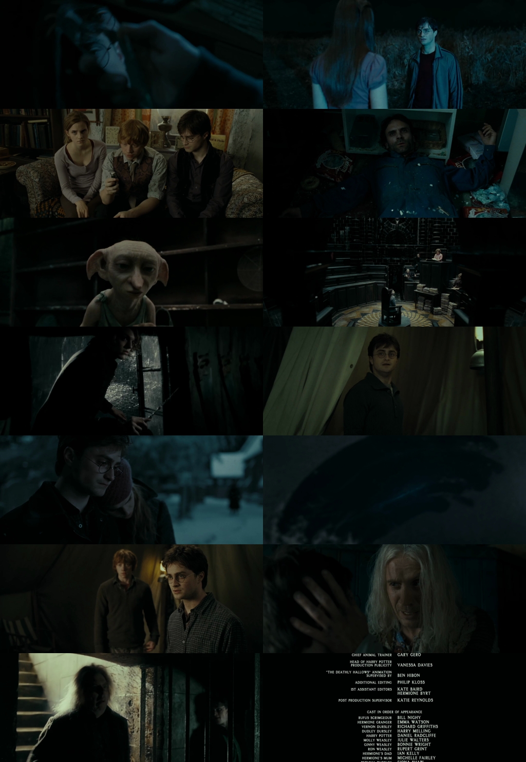 Harry Potter and the Deathly Hallows: Part 1 (2010) 1080p | 720p | 480p BluRay [Hindi (हिन्दी) + English] DD5.1 HEVC ESub Screenshots