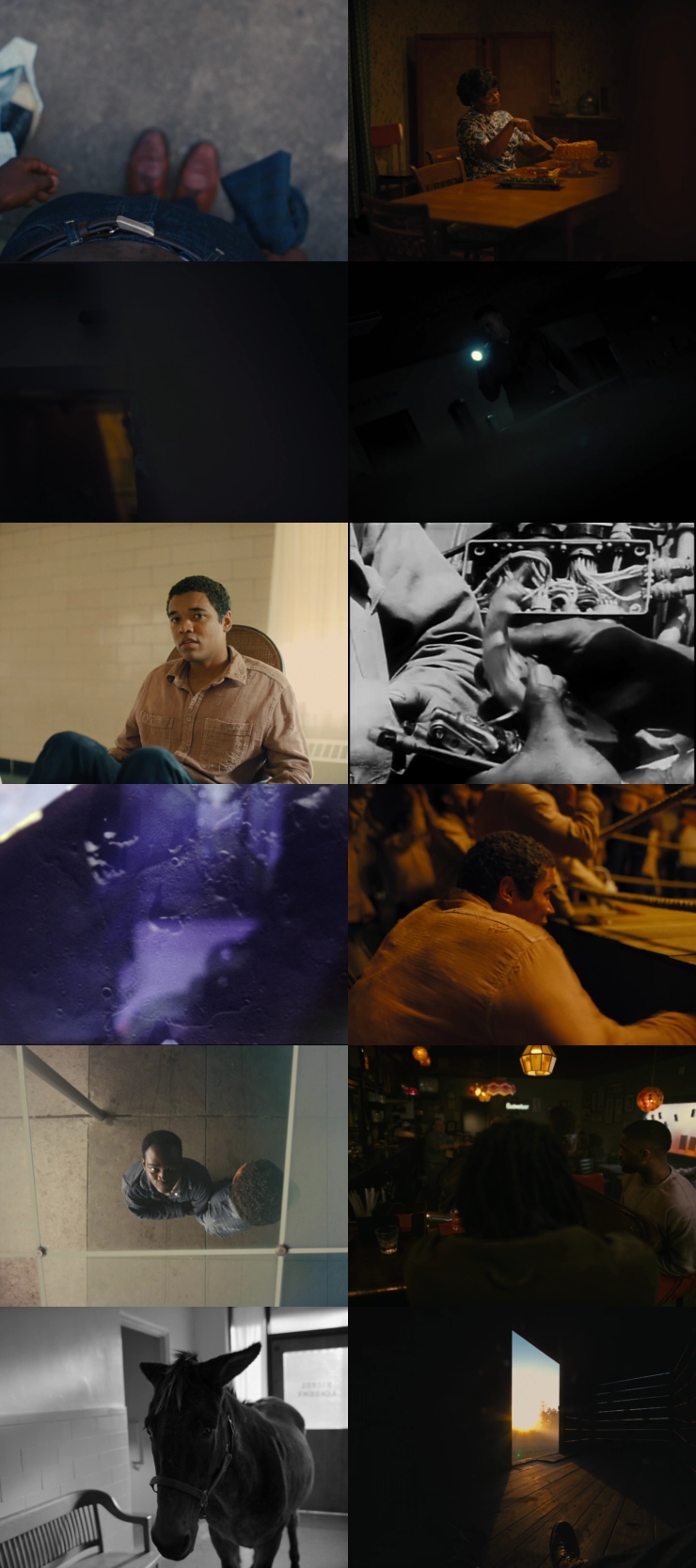 Nickel Boys (2024) 1080p | 720p | 480p WEB-HDRip [Hindi (हिन्दी) + English] DD5.1 ESub Screenshots