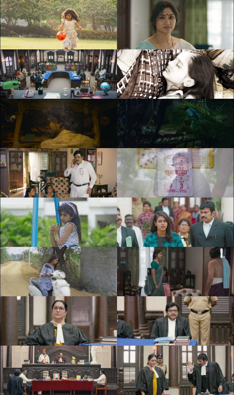 Lawyer Viswanath (2021) 1080p | 720p | 480p WEB-HDRip [Hindi (हिन्दी)] DD5.1 ESub Screenshots
