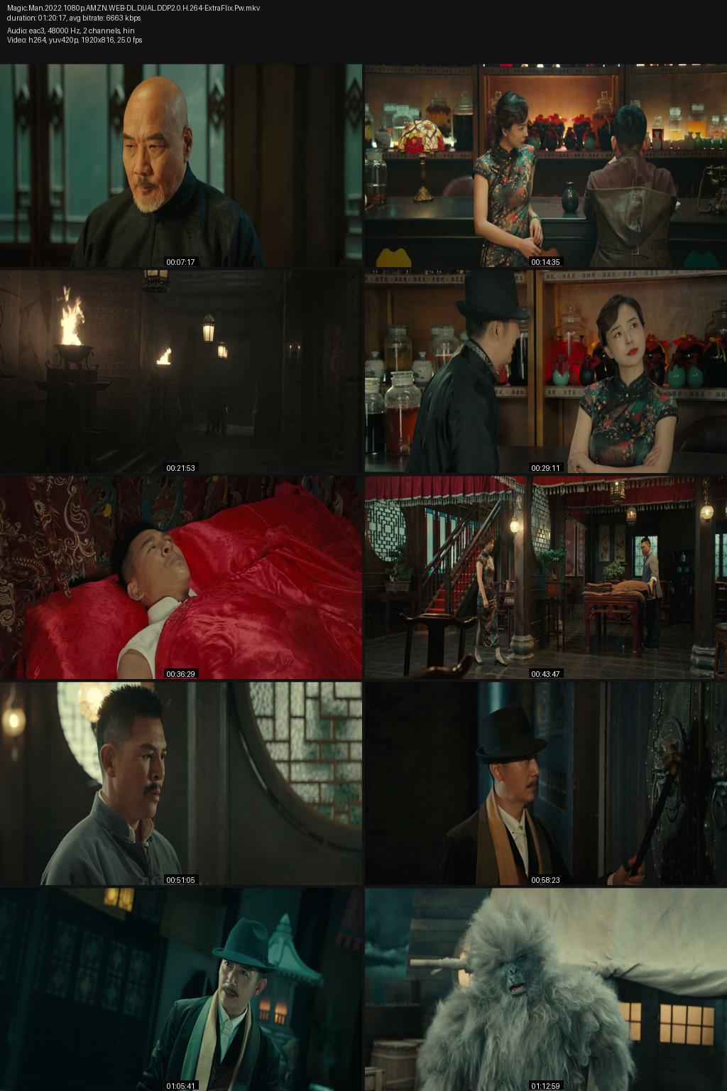 Magic Man (2022) [Hindi-Chinese] 1080p 720p 480p Amazon WEB-DL ESub Screenshots