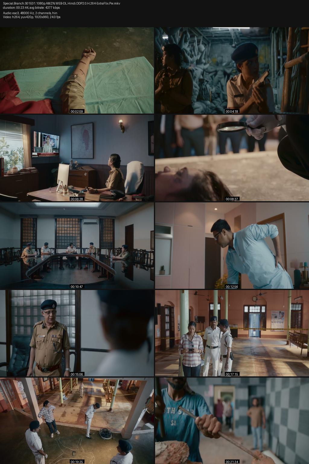 Special Branch Season 1 (2025) [Hindi] 1080p 720p 480p Amazon WEB-DL ESub Screenshots