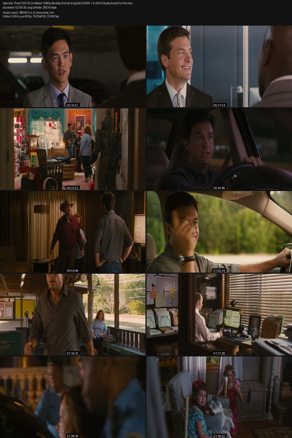 Identity Thief (2013) [Hindi-English] 1080p 720p 480p BluRay ESubs Screenshots